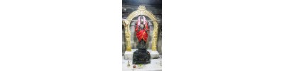 திருப்புலிவனம்